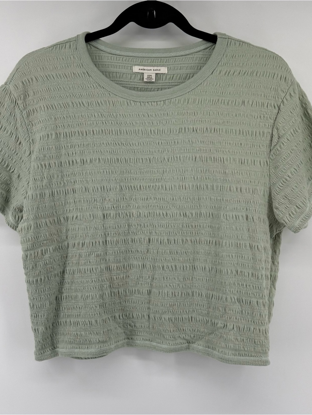 American Eagle Outfitters Light Sage Textured Short Sleeve Tee
